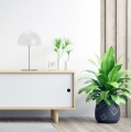 Lampka biurkowa E27 25W biała