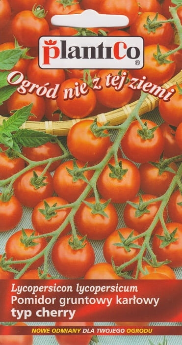 PLATINET NASIONA POMIDOR GRUNTOWY MASKOTKA SOLANUM LYCOPERSICUM SEEDS 0,5 G