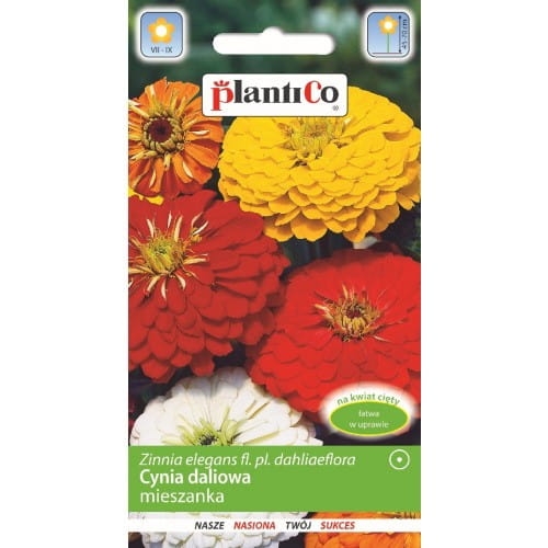 Nasiona Cynia Daliowa 1g