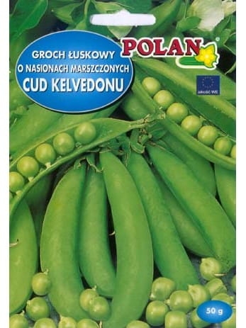 Nasiona Groch siewny 40g