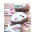 OMEGA BATHROOM SCALES WITH PICTURE [42166]