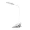 PLATINET DESK LAMP 3W CLIP AND DESK FUNCTION WHITE [44396]
